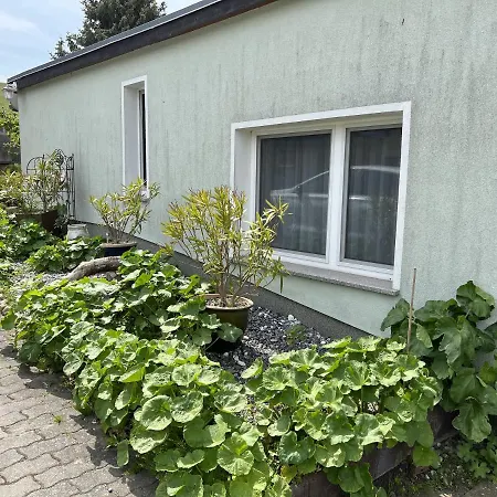 假日公园 Bungalow *
